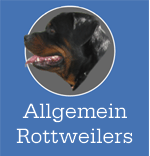 Allgemein_Rottweiler_logo.gif